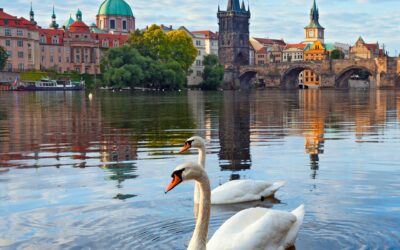 Free Tour por el Castillo de Praga en español