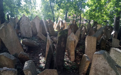 Día de los Monumentos Judíos 2025: Una Puerta Abierta a la Memoria