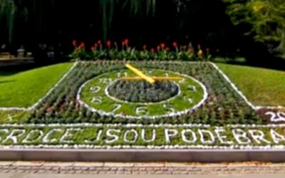 ¡Poděbrady sorprende! De ciudad balneario a paraíso gourmet